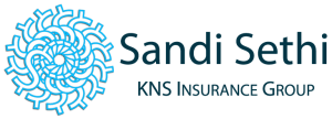 SandiLogoBramptonInsuranceCompany1